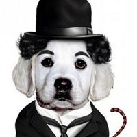 ����ͼƬ--���ϣ����ҵ�С����