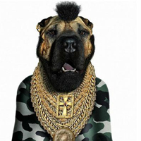 ����ͼƬ--���ϣ����ҵ�С����