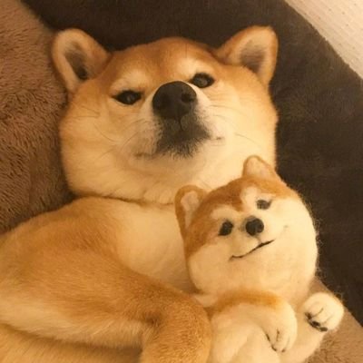 ����ͼƬ--���ϣ����ҵ�С����