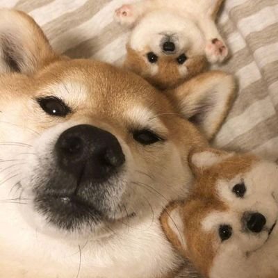 ����ͼƬ--���ϣ����ҵ�С����