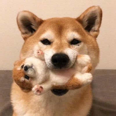 ����ͼƬ--���ϣ����ҵ�С����