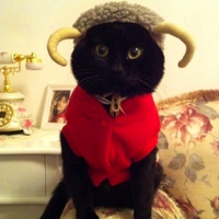 ����ͼƬ--���ϣ����ҵ�С����