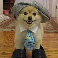 ����ͼƬ--���ϣ����ҵ�С����