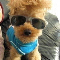 ����ͼƬ--���ϣ����ҵ�С����