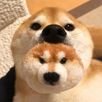 ����ͼƬ--���ϣ����ҵ�С����