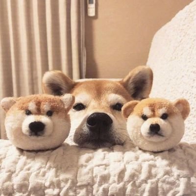 ����ͼƬ--���ϣ����ҵ�С����