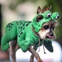 ����ͼƬ--���ϣ����ҵ�С����