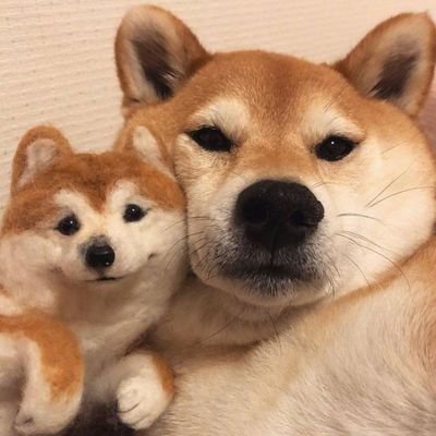 ����ͼƬ--���ϣ����ҵ�С����