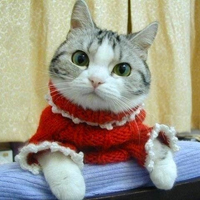 ����ͼƬ--���ϣ����ҵ�С����