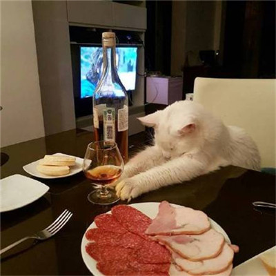 ��è��ɰ�����ͷ�� �һ���ֻ��Ҫ��