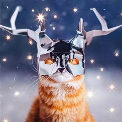 ��è��ɰ�����ͷ�� �һ���ֻ��Ҫ��