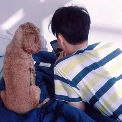 ��ǿ�ɰ�����������ͷ��