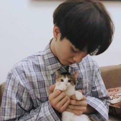 ��ǿ�ɰ�����������ͷ��