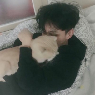 ��ǿ�ɰ�����������ͷ��