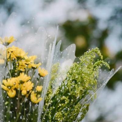 ��ʱ�羰������ͼƬ�����������һ��