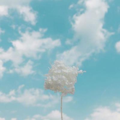 ��ʱ�羰������ͼƬ�����������һ��