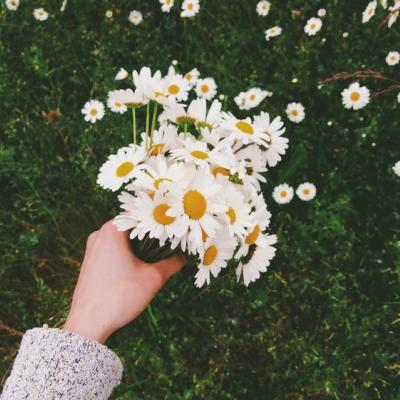 ��ʱ�羰������ͼƬ�����������һ��