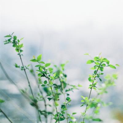 ��ʱ�羰������ͼƬ�����������һ��