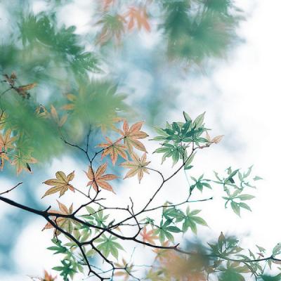 ��ʱ�羰������ͼƬ�����������һ��