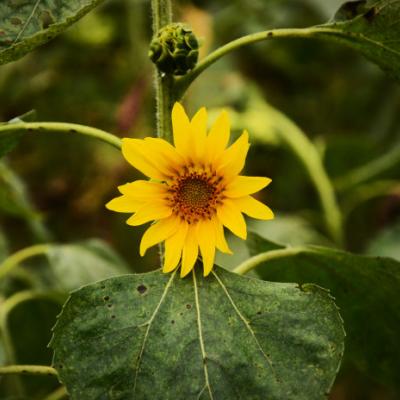 ��ʱ�羰������ͼƬ�����������һ��