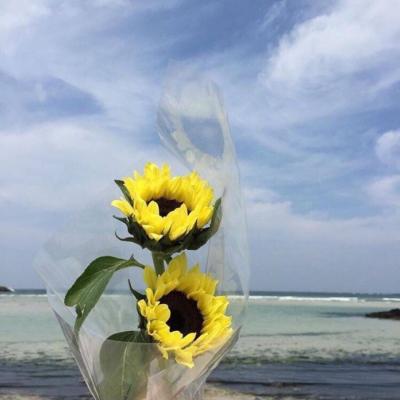 ��ʱ�羰������ͼƬ�����������һ��