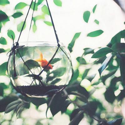 ��ʱ�羰������ͼƬ�����������һ��