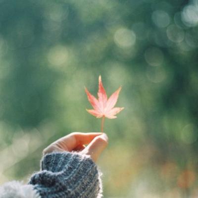 ��ʱ�羰������ͼƬ�����������һ��