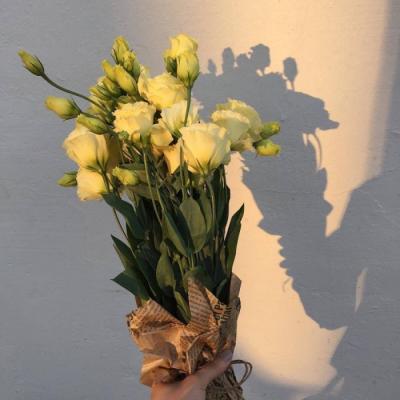 ��ʱ�羰������ͼƬ�����������һ��