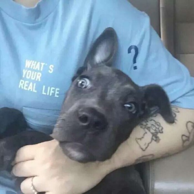 �ɰ�������͵�ͷ���͸�����