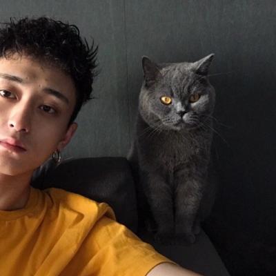 2019�����������΢��ͷ�� �����ѳɿ�