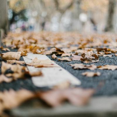 С���±�ֽ�ĸ���ͼƬ