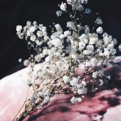 С���±�ֽ�ĸ���ͼƬ