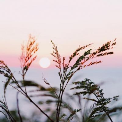 С���±�ֽ�ĸ���ͼƬ