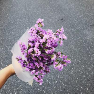 С���±�ֽ�ĸ���ͼƬ