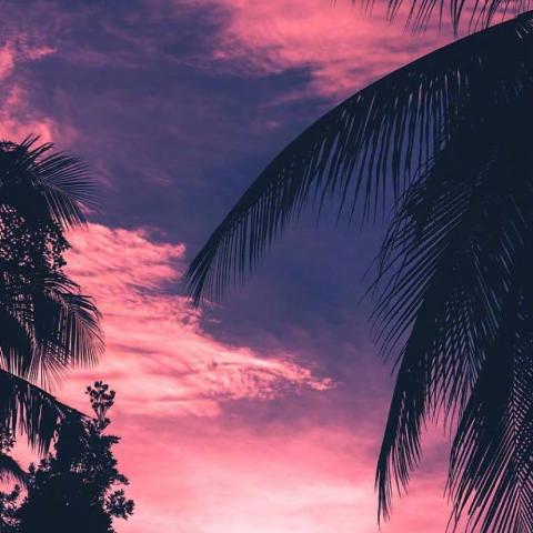 �ÿ��Ŀ��ַ羰ͼ--���õļ���