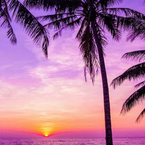 �ÿ��Ŀ��ַ羰ͼ--���õļ���