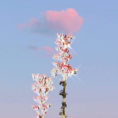 �ÿ��Ŀ��ַ羰ͼ--���õļ���