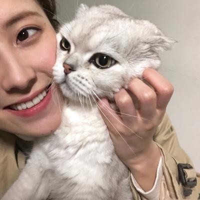 Ư���ɰ���С����ͷ��