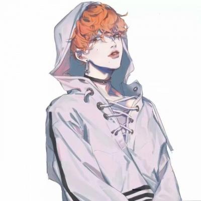 ��������Ķ�����ͷ˧������-�ɰ���