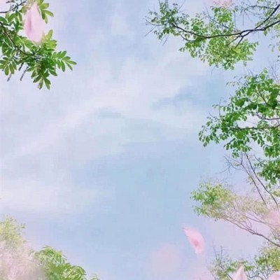 ����С���µı�ֽͼƬ