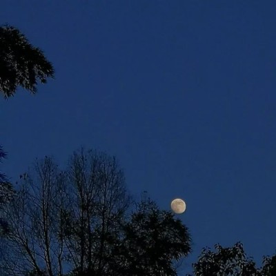 ����С���µı�ֽͼƬ