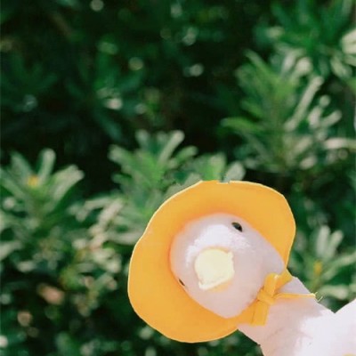 ����С���µı�ֽͼƬ