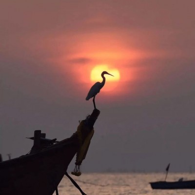 ����С���µı�ֽͼƬ