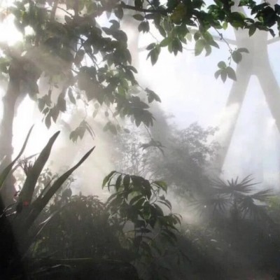 ����С���µı�ֽͼƬ