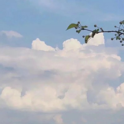 ����С���µı�ֽͼƬ