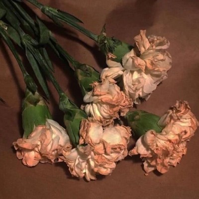 ����С���µı�ֽͼƬ