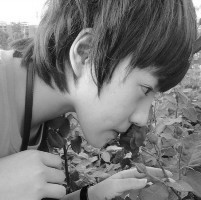 �ڰ��Ƿ����¸���ͷ��