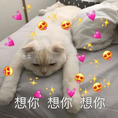 �ɰ�è��΢��ͼƬ