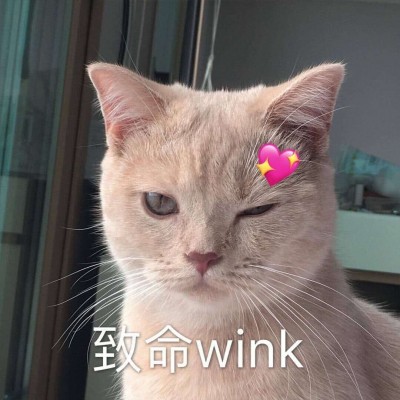 �ɰ�è��΢��ͼƬ