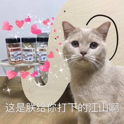 �ɰ�è��΢��ͼƬ